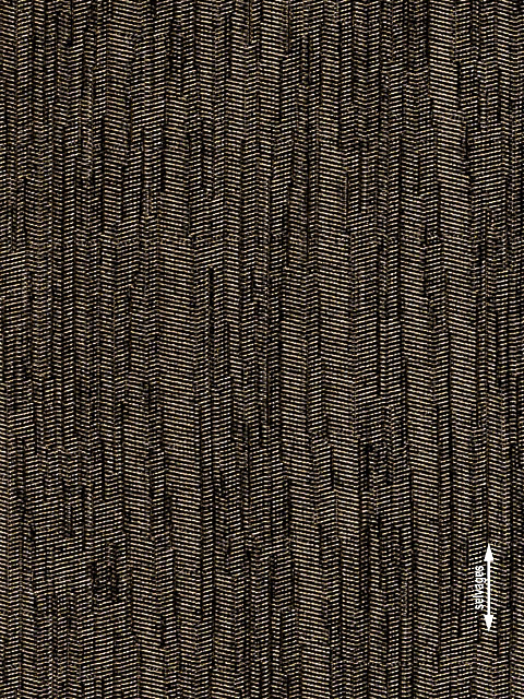 /filemanager/Agiovlasitis/jurassic (5).jpg